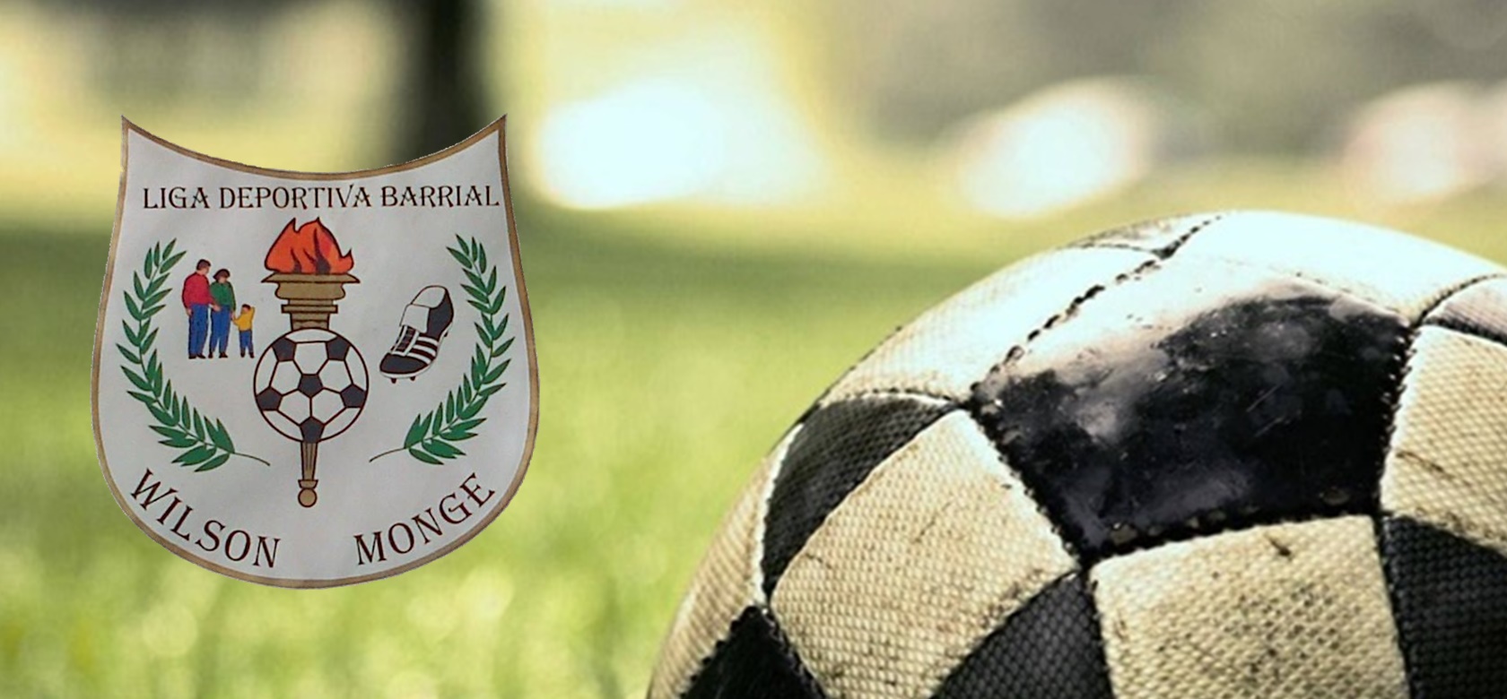 Liga Deportiva Barrial Wilson Monge